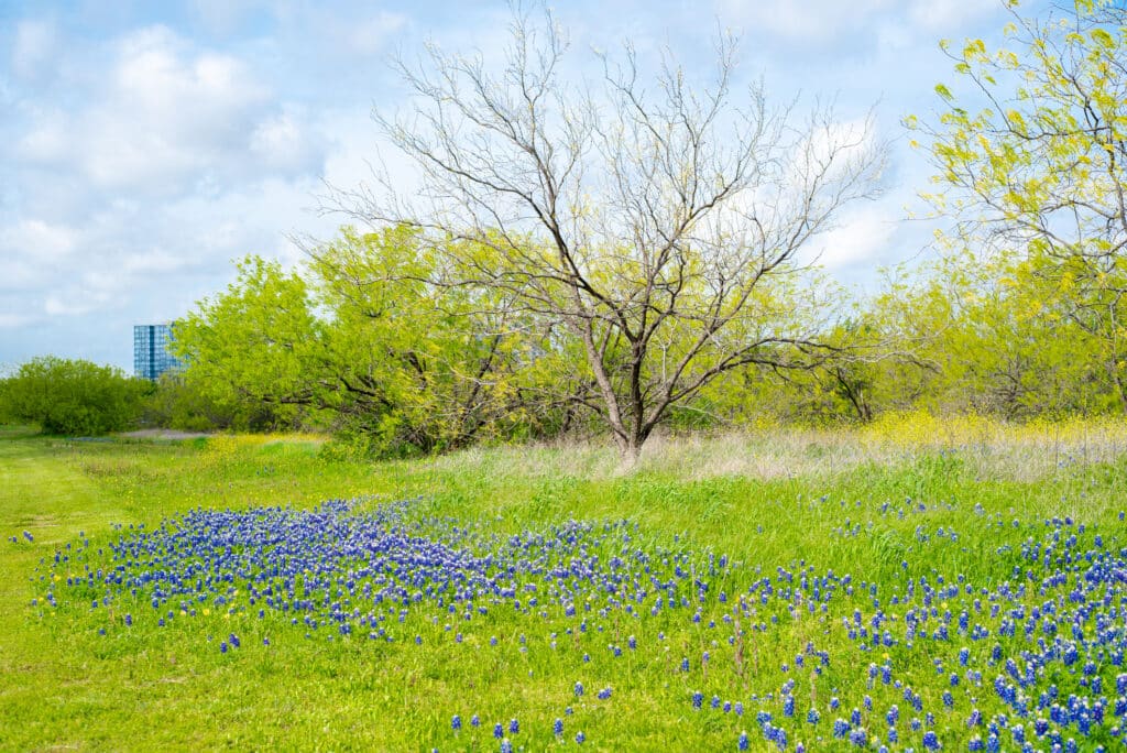 ac repair in springtown texas