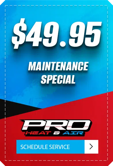 $49.95 Maintenance Special